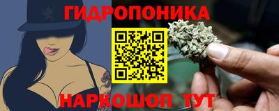 амф Кулебаки