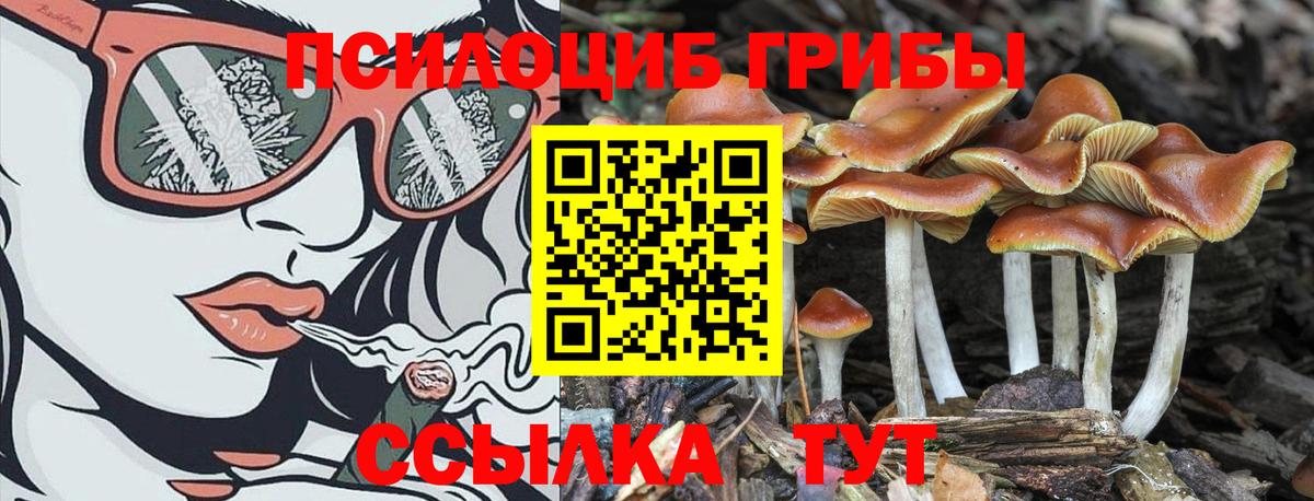 Соликамск  Псилоцибиновые грибы GOLDEN TEACHER  Вход с VPN  Галлюциногенные грибы Magic Shrooms 